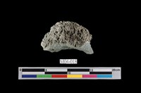 藏品(石灰華)的圖片